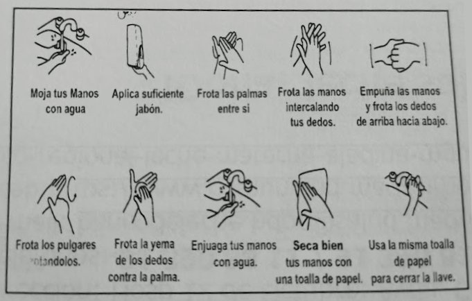 cómo lavarse las manos correctamente guía